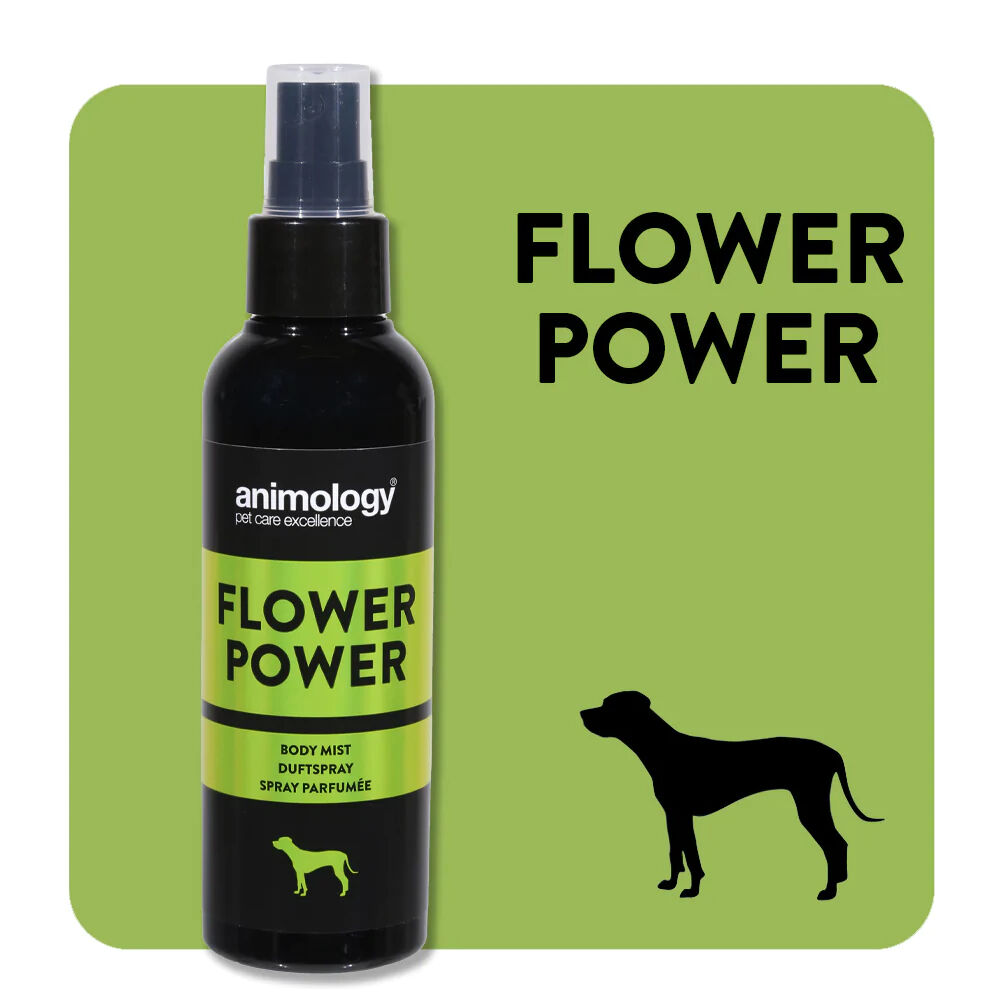 Animology Flower Power 150 ml - perfum, mgiełka o zapachu róży i jaśminu