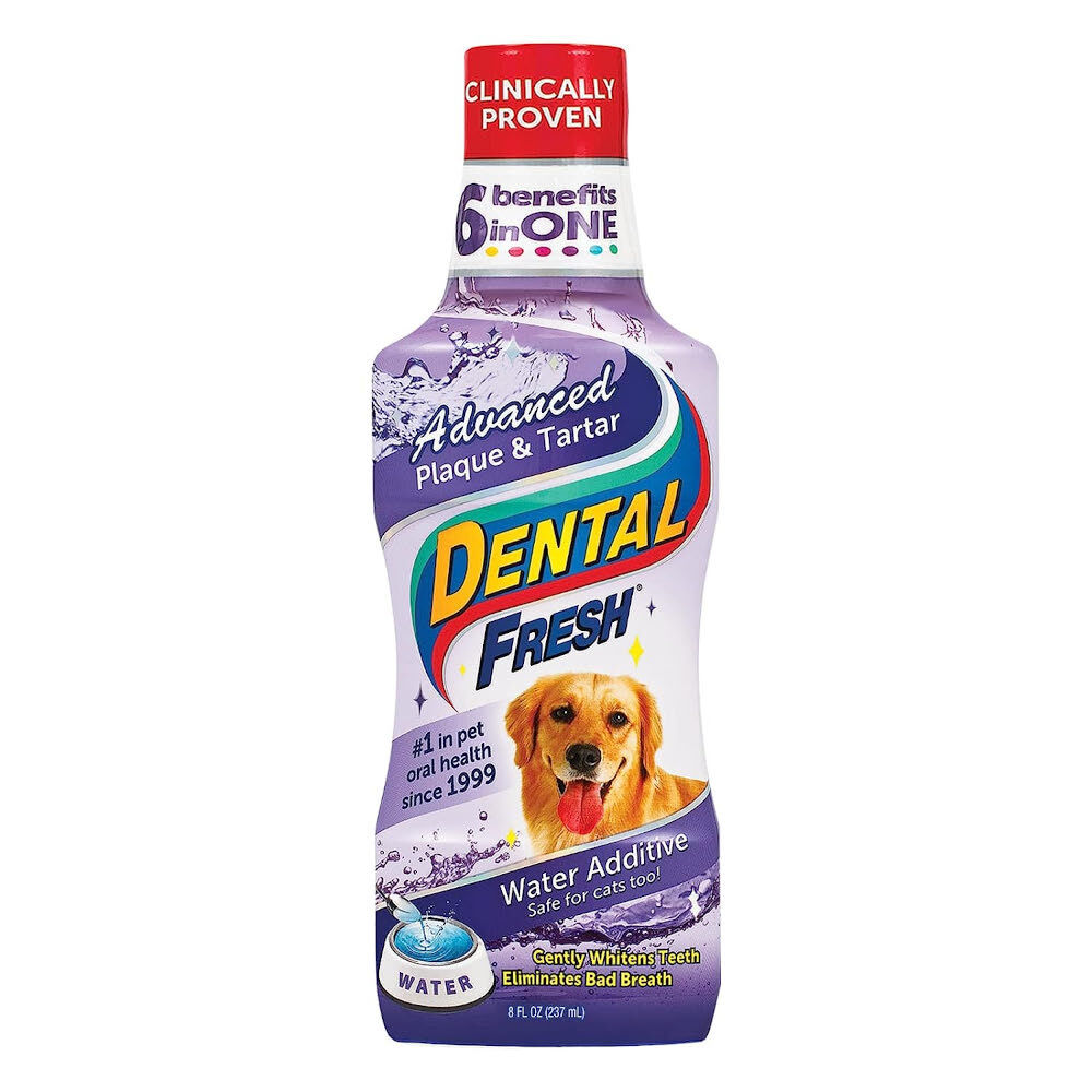 Dental Fresh Kamień i Osad 237 ml - płyn do higieny jamy ustnej
