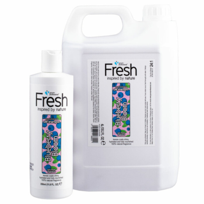 Groom Professional Fresh Blueberry Bloom Shampoo - szampon jagodowy do każdego rodzaju sierści Groom Professional Fresh Blueberry Bloom Shampoo - szampon jagodowy do każdego rodzaju sierści
