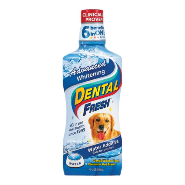 Dental Fresh Advanced Whitening 503 ml - wybielający płyn do higieny jamy ustnej