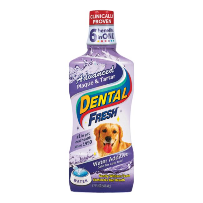 Dental Fresh Kamień i Osad 503 ml - płyn do higieny jamy ustnej