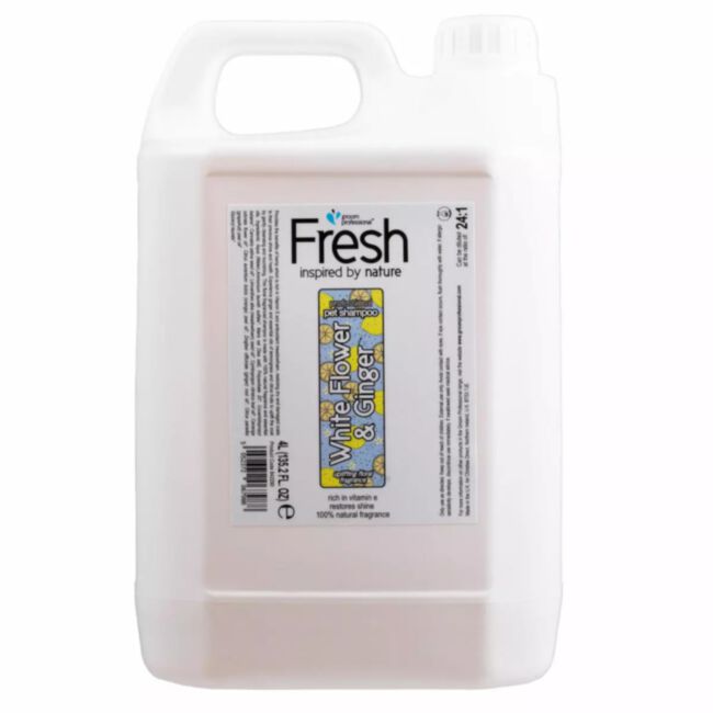 Groom Professional Fresh White Flower & Ginger Shampoo 4 l - szampon regenerujący do zniszczonej sierści