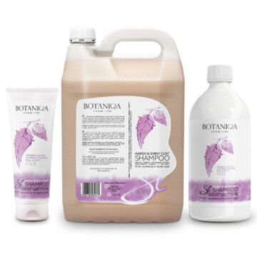 Botaniqa Show Line Harsh & Shiny Coat Shampoo szampon dla psów szorstkowłosych