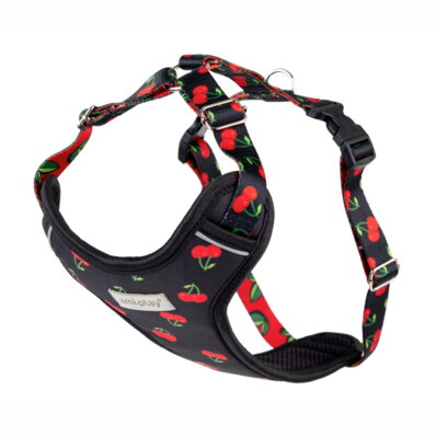 Amiplay BeHappy - szelki regulowane Discovery Cherry