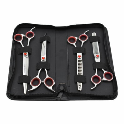 Phoenix Carmina - zestaw startowy nożyczek 1