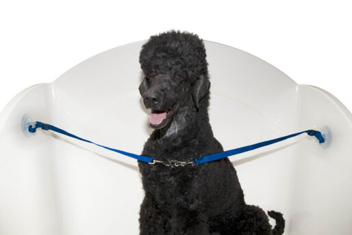 Przyssawka podwójna Trim do mocowania w wannie 1