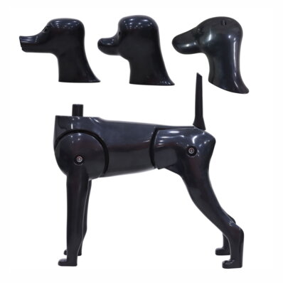 Chadog - manekin groomerski 3 w 1, model psa z 3 wymiennymi głowami 1
