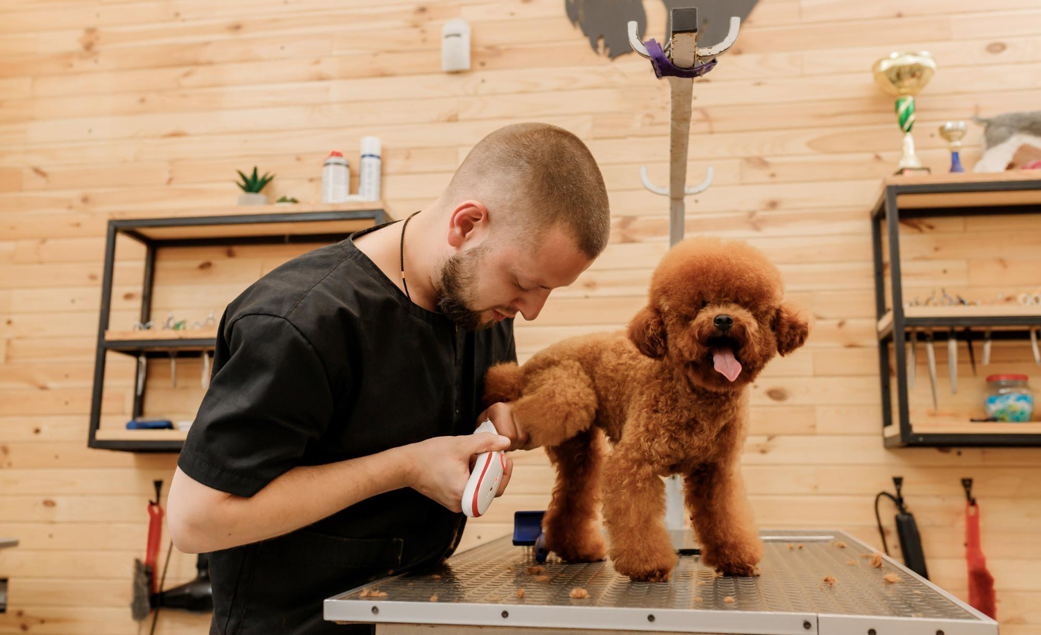 Groomer mobilny czy salon groomerski stacjonarny - wady i zalety obu rozwiązań