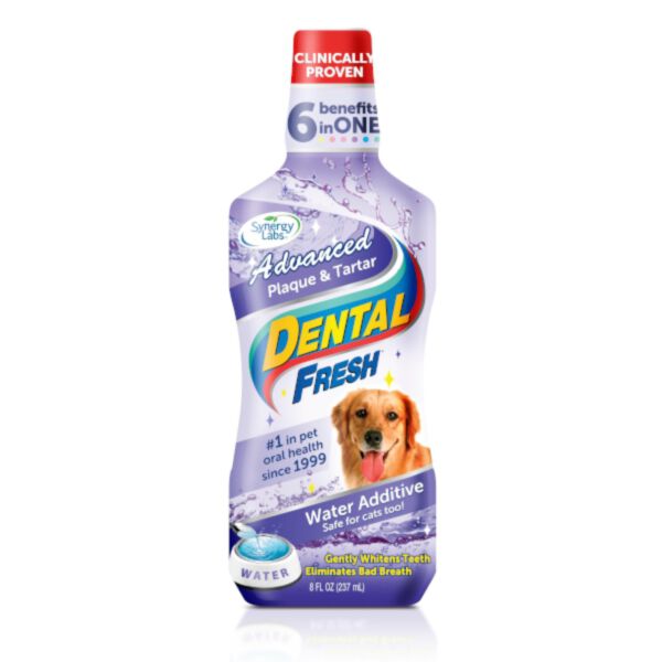 Dental Fresh Kamień i Osad płyn do higieny jamy ustnej 237 ml