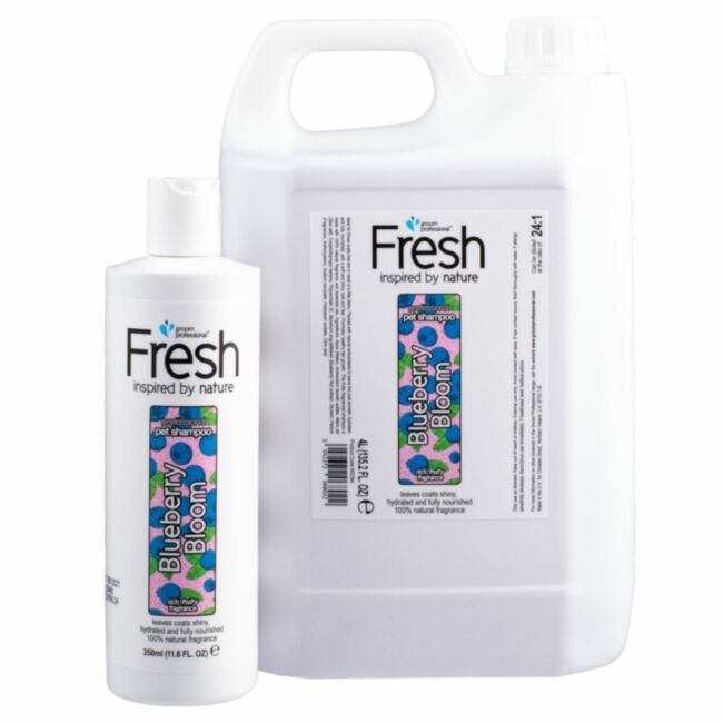 Groom Professional Fresh Blueberry Bloom Shampoo - szampon jagodowy do każdego rodzaju sierści